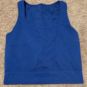 Blue Sleeveless Crop Top